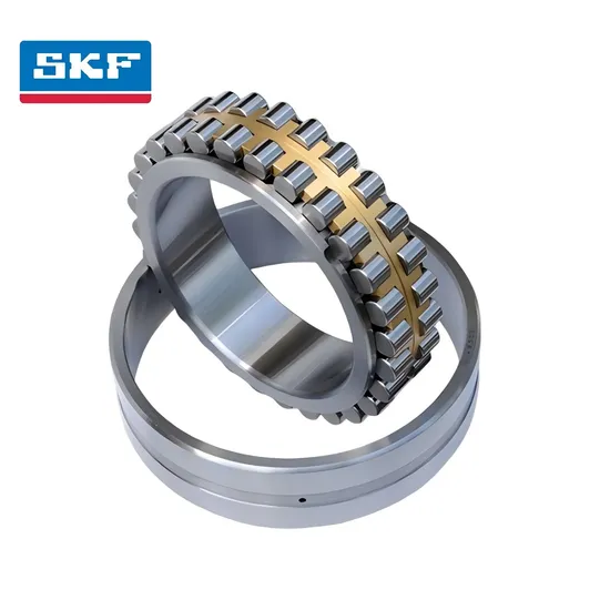 High Precision Double Row Cylindrical Roller Bearing for High Speed Spindle Applications Nu1005 Nu1009 Ec P/C3 Nu1014-Ml