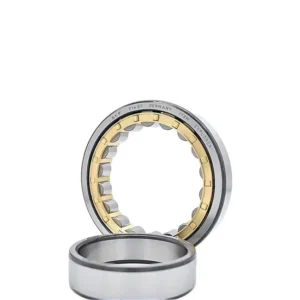 SKF N1009TN/SP Cylindrical Roller Bearing SP Precision